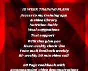 online trainers ireland 12 week plan